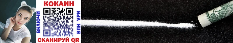 Купить закладки  Петровск-Забайкальский  Cocaine Fish Scale 