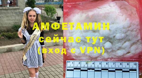 шишки Каменногорск