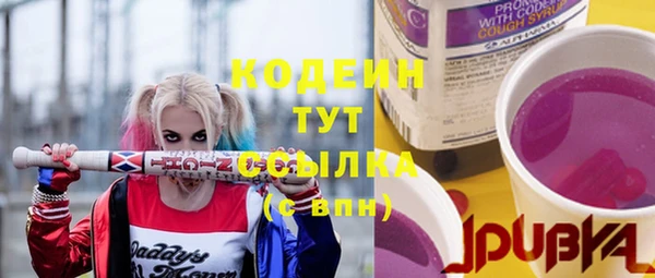 шишки Каменногорск