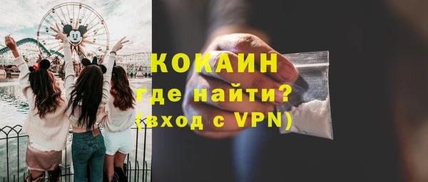 шишки Каменногорск