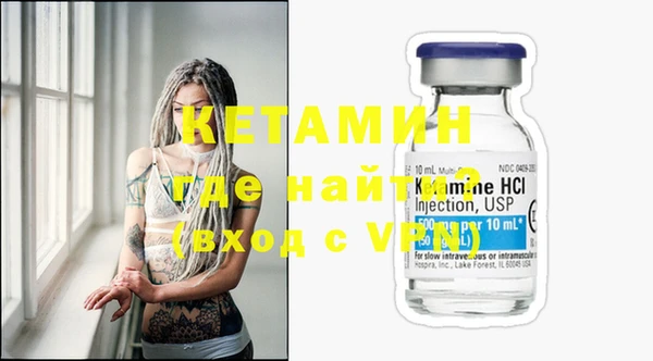 шишки Каменногорск