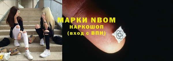 шишки Каменногорск