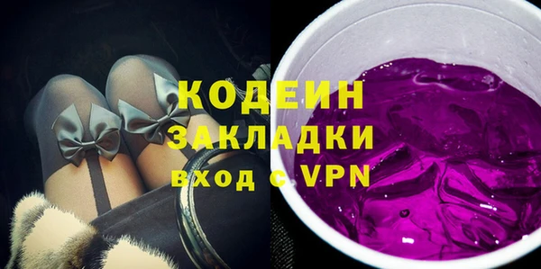 шишки Каменногорск