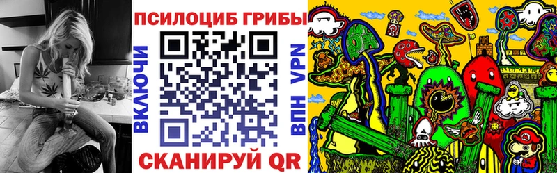 Псилоцибиновые грибы Cubensis  Купить закладки  Петровск-Забайкальский 